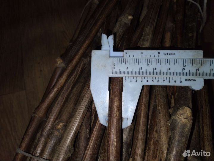 Черенки (чубуки), саженцы подвоя Кобер 5 бб