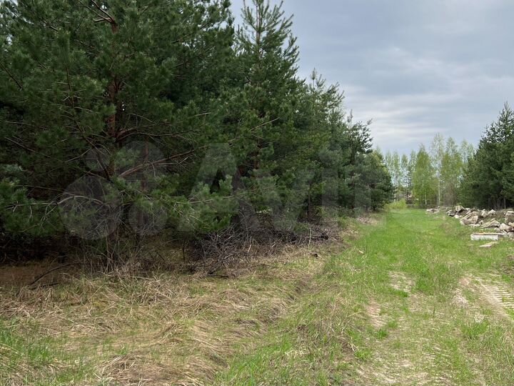 Участок 3,3 га (СНТ, ДНП)