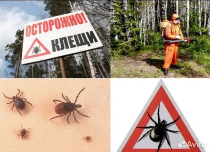 Дезинфекция