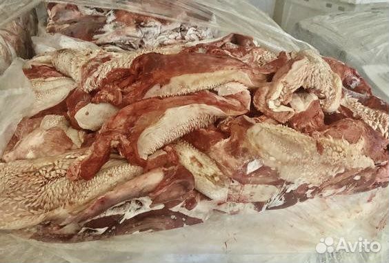Мясо для собак (Субпродукты)