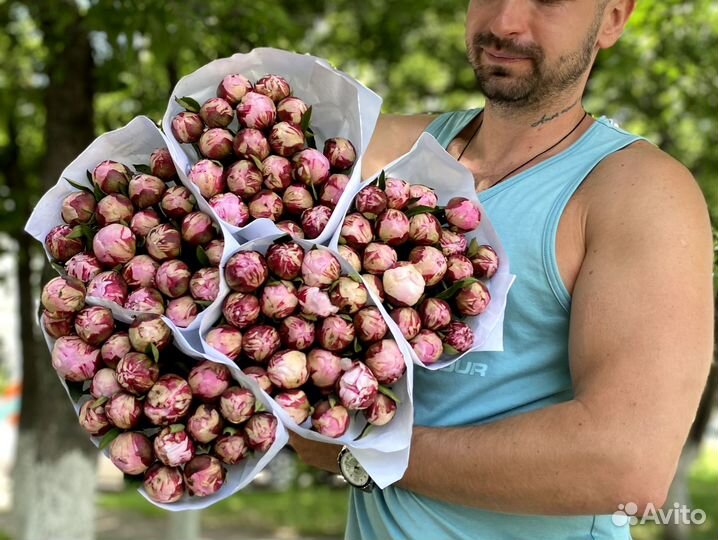 Букет из пионов / свежие пионы / доставка