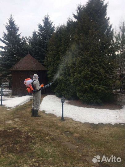 Обрезка деревьев, кустарников, удаление