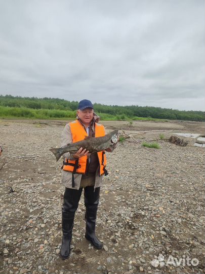 Тур по Камчатке