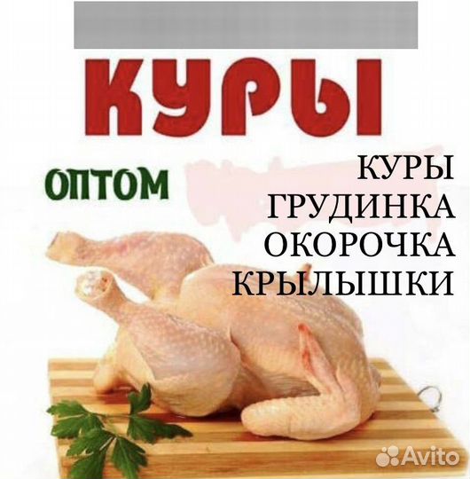 Куры