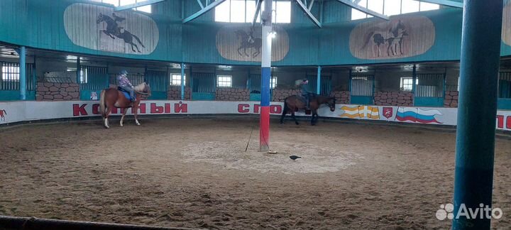 Постой лошадей