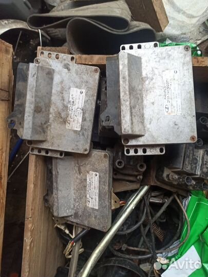 Эбу январь 5.1