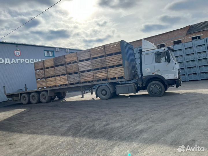 Грузоперевозки