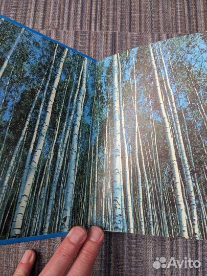 Книги про город Березники