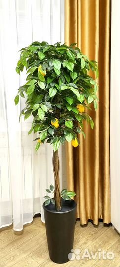 Декоративное дерево Лимон 150-160 см