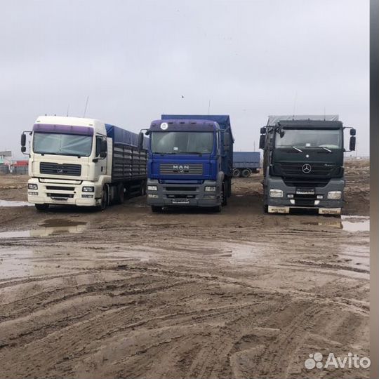 Зерновозы перевозка