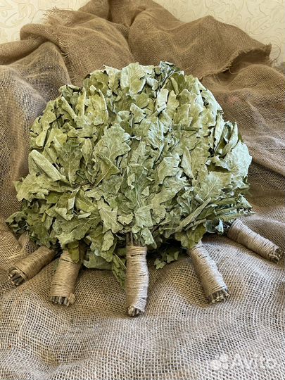 Дубовые веники для бани