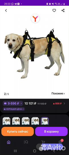 Сборная поддержка для собак