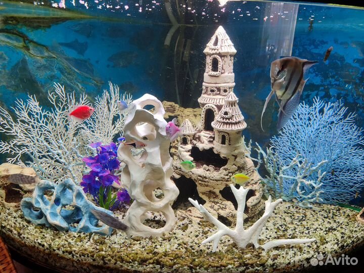 Аквариум с тумбой