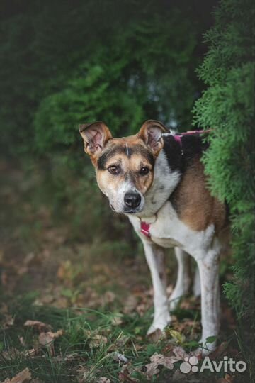 Ласковая девочка ждёт