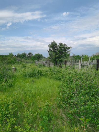 Участок 5 сот. (СНТ, ДНП)