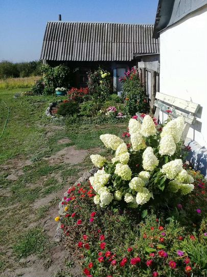 Дом 63,7 м² на участке 27 сот.