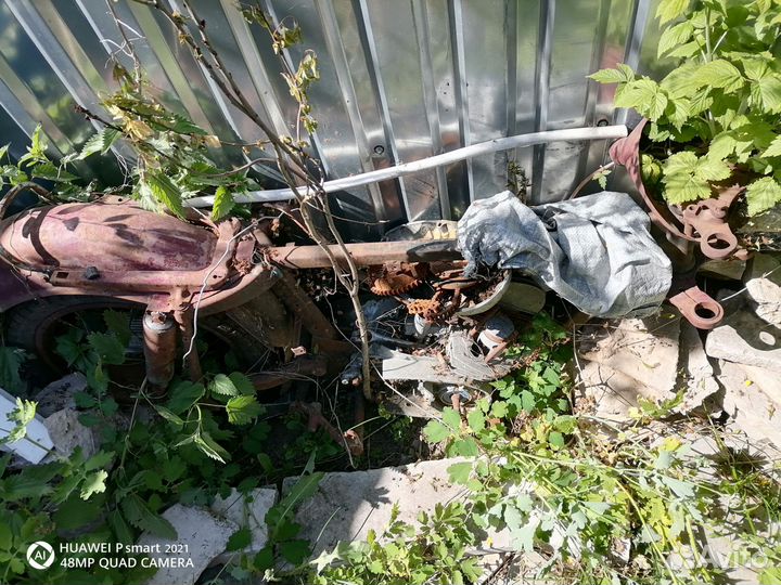 Ява старушка