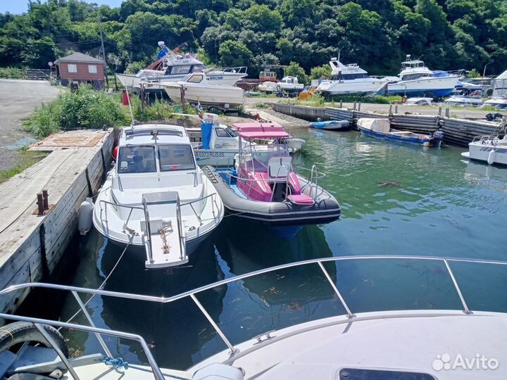 Риб Кальмар