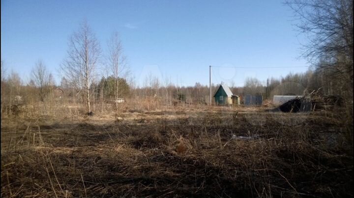 Участок 8,5 сот. (СНТ, ДНП)