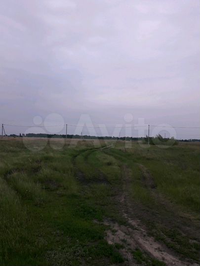 Участок 12 га (СНТ, ДНП)