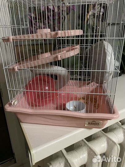 Клетка для грызунов большая