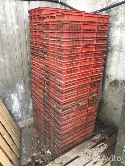 Ящик пластиковый