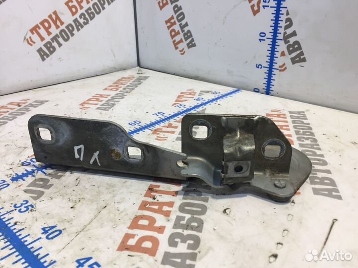 Рено Сценик Петля капота Лев