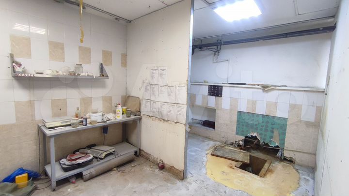 Общепит, 255 м²