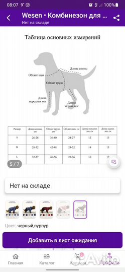 Комбинезон для собак, девочка