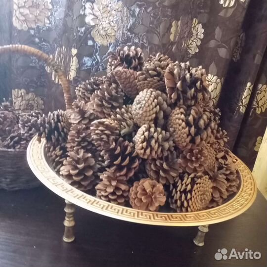 Шишки сосновые