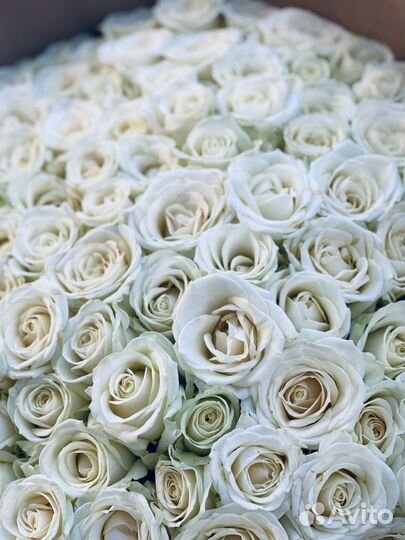 Букеты из 101 розы, 51 розы, 25 роз с доставкой