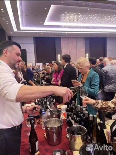 Винное казино, дегустация, гастроужин, сомелье