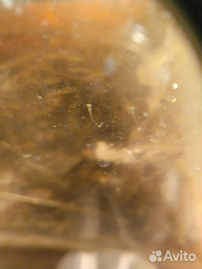 Золотая рыбка, риукин Екб