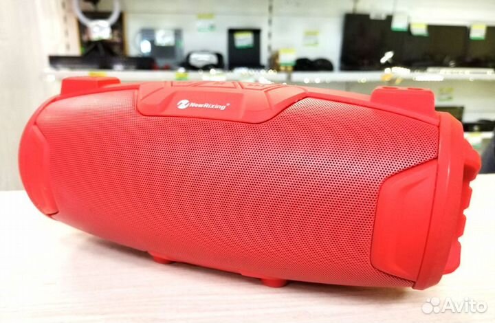 Колонка + караоке Bluetooth NewRixing NR-3026