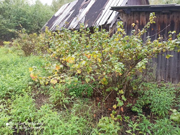 Участок 12 сот. (ИЖС)