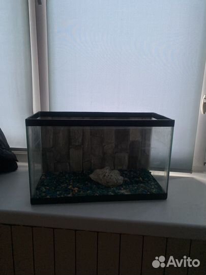 Аквариум
