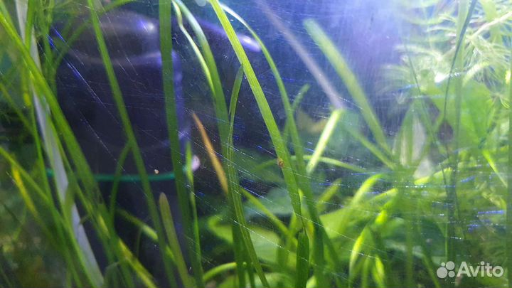 Аквариум с тумбой 120л