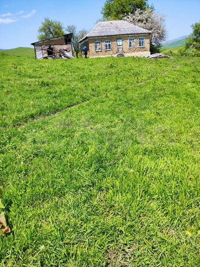 Участок 37 сот. (СНТ, ДНП)