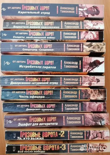 Александр Тамоников. Спецназ