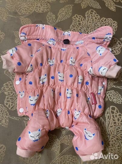 Одежда для собак