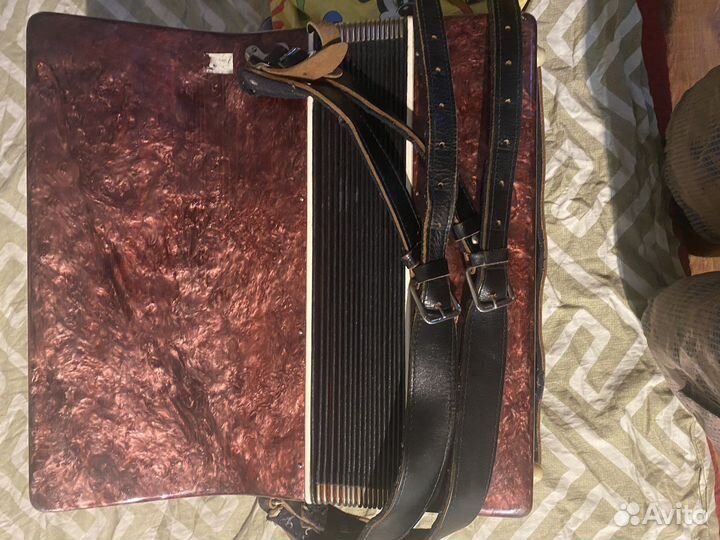 Гармонь, аккордеон березка три четверти