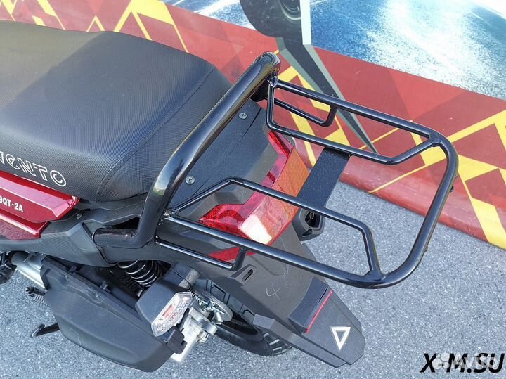 Икс-моторс naked PRO