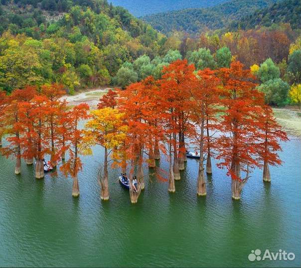 Экскурсии в Анапе, джиппинг