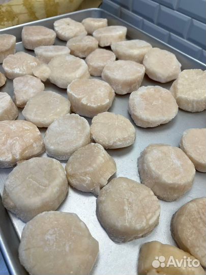 Гребешки Сахалин