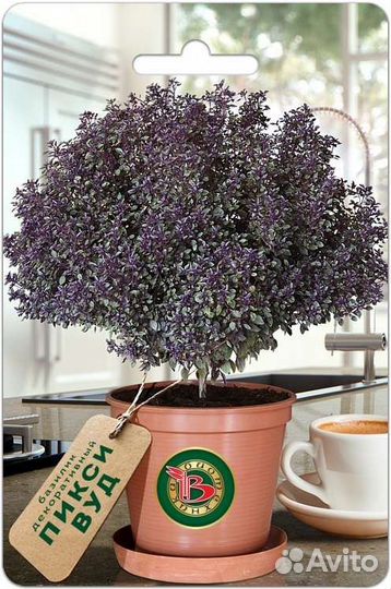 Базиликовое дерево