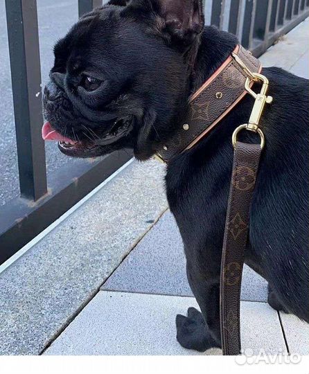 Ошейники и поводки Louis Vuitton