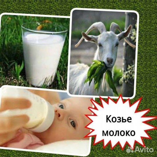 Козье молоко