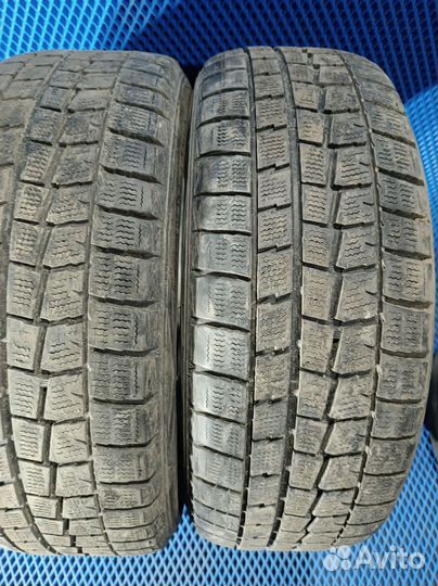 Dunlop Winter Maxx 205/55 R17