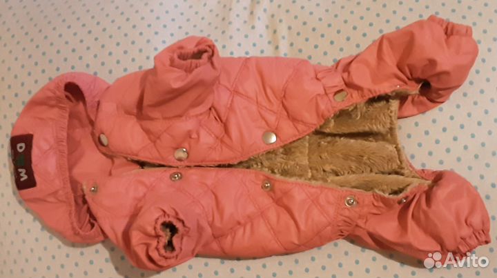 Одежда для собак той терьер