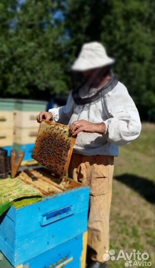 Мёд с доставкой разнотравье 2023